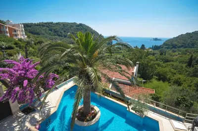 a palm tree sitting next to a swimming pool at Villa St.George in Petrovac na Moru