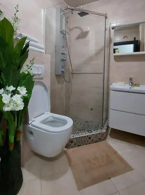 a bathroom with a shower and a toilet and a sink at Apartments Kaladjurdjevic in Budva