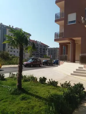a palm tree in the grass next to a parking lot at Apartment S&S Budva in Budva
