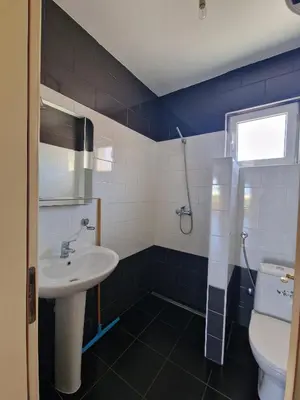 a bathroom with a sink and a toilet at Ago Apartmani in Dobra Voda