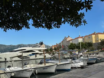 Gallery image of Old Town Apartment MARTIN in Budva