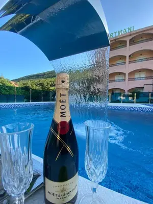 a bottle of wine and two glasses next to a pool at Pejovic Residence Budva in Budva