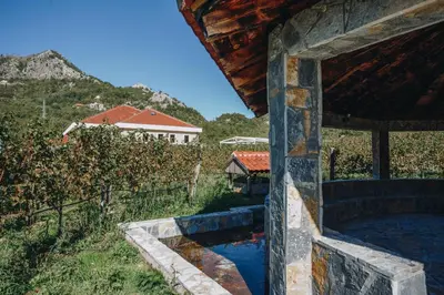 a pool of water in a stone building in a vineyard at Eco Winery Lipovac Apartments in Cetinje