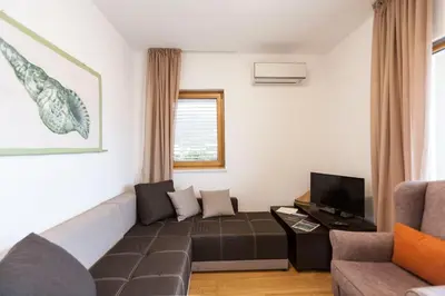 a living room with a couch and a tv at Apartment-Hotel Vila Petrovic-Becici in Budva