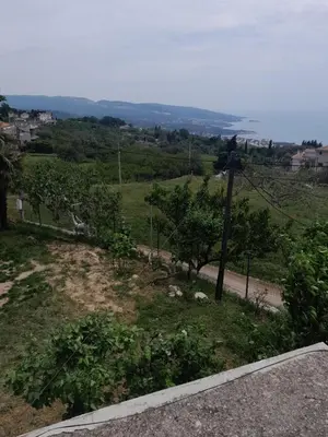 a view of a field with trees and a pole at Top see in Bar