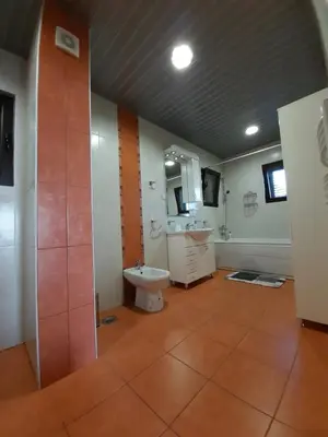 a bathroom with a toilet and a sink and a mirror at Villa Lipski in Sveti Stefan