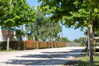 a tree lined street with a row of houses at MCM Camping in Ulcinj