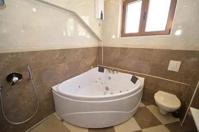 a bathroom with a bath tub and a toilet at Palazzo Max and Alex Apartments in Kotor