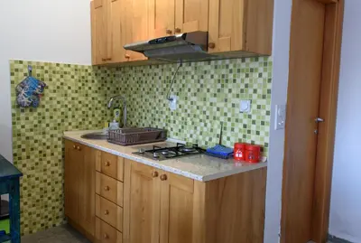 a kitchen with a sink and a stove top oven at Vila Vujošević in Utjeha