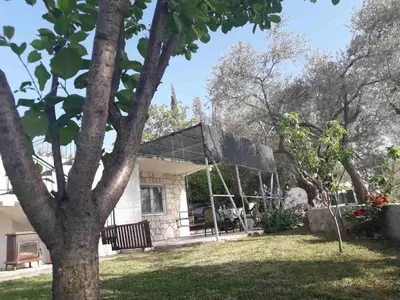 a house with a glass roof in a yard at Apartman Nikocevic in Dobra Voda