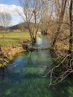 a river with green water and trees in a field at Green Silence - Vuk in Podgorica