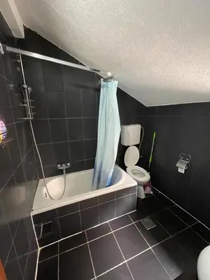 a bathroom with a shower and a toilet and a tub at Apartment Crocus of Rafailovici in Budva