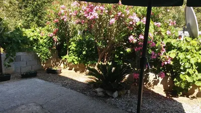 an umbrella in a garden with flowers and plants at Apartmani Grozdanic Canj in Čanj