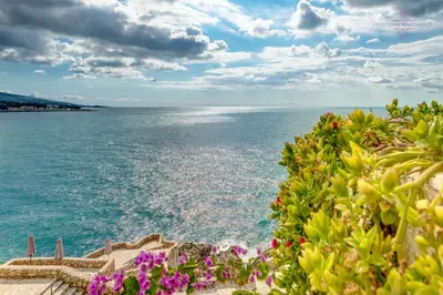 a view of the ocean with flowers on the shore at Sveti Luka Apartments in Dobra Voda