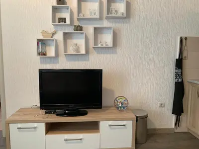a television sitting on a desk in a room at Apartman Glava Zete in Sutomore