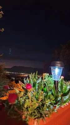 a planter with a cactus and a street light at Apartment Jelena Sutvara in Kotor