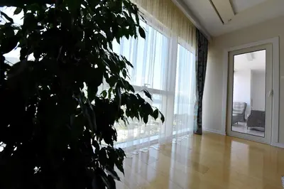 a living room with a plant and a large window at Luxury Apartments Mia in Budva