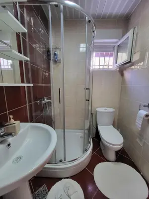 a bathroom with a shower and a toilet and a sink at Apartment Rachel in Petrovac na Moru