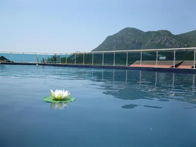 a water lily in the middle of a lake at Zubci mountain apartment in Bar
