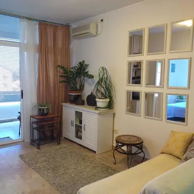 a living room with a bed and potted plants at Apartment Mika in Budva