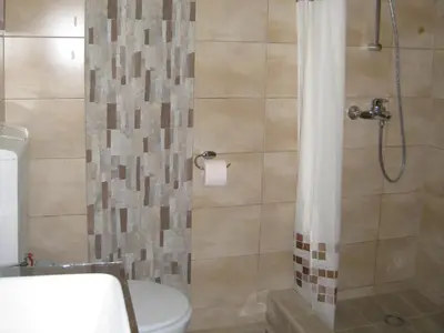 a bathroom with a toilet and a shower at Apartment Mika in Budva