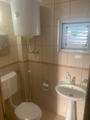 a small bathroom with a toilet and a sink at Apartments in villa Viktoria in Sutomore