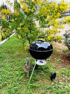 a bbq grill with a cat standing next to it at Selena in Bar