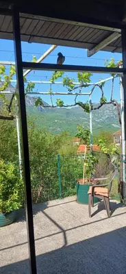 a bench sitting on a patio with a view of a field at Etno House Mira in Virpazar