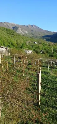 a fence in a field with mountains in the background at Etno House Mira in Virpazar