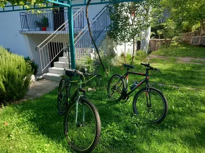 two bikes parked in the grass next to a house at Etno House Mira in Virpazar