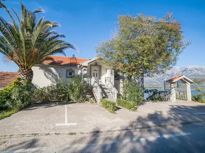 a house with a palm tree in front of it at Apartments Elena in Tivat