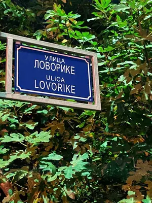 a blue street sign in front of a bush at Apartment Atina in Kotor