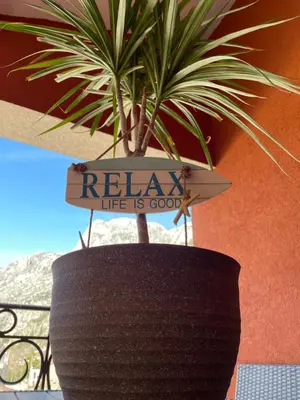 a plant in a black pot with a sign at Apartment Atina in Kotor