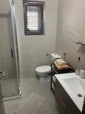 a bathroom with a toilet and a shower and a sink at Apartment Damjan in Kotor