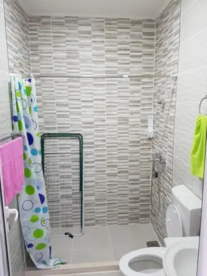 a bathroom with a shower and a toilet at Avdiu Apartment in Ulcinj
