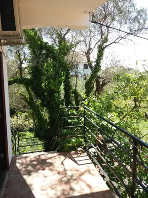a staircase leading up to a house with trees at Apartmani na moru in Bar