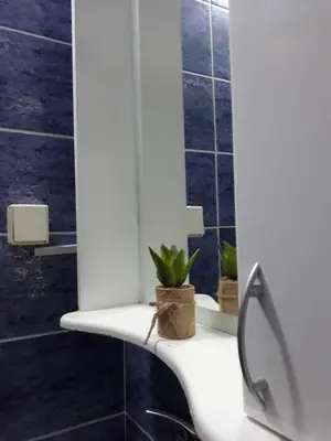 a bathroom with a white sink with a plant on it at Apartment Vukasevic in Virpazar