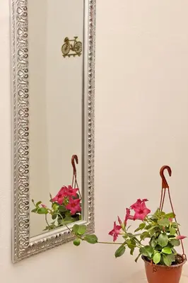 a mirror on a wall next to a potted plant at Ribica Apartments in Kotor