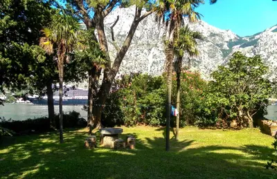 a park with palm trees and a bench and a mountain at Ribica Apartments in Kotor