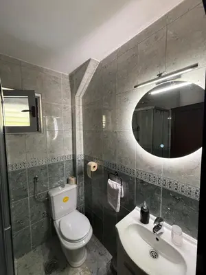 a bathroom with a toilet and a sink and a mirror at Apartment Stana in Petrovac na Moru