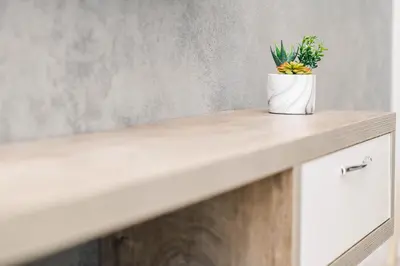 a potted plant sitting on top of a counter at Apartments Antique in Ulcinj