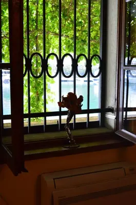 a flower sitting on a window sill in front of a window at Apartments Qualitas in Kotor
