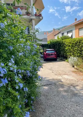 a red car parked in a parking lot with blue flowers at Apartment Garden in Kotor