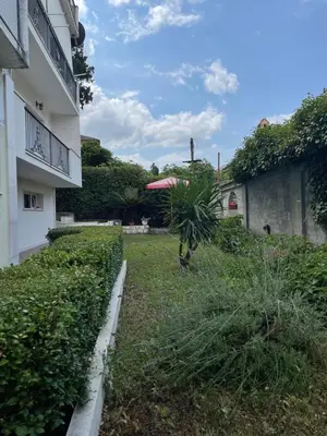 a view of the yard of a building at Apartment Garden in Kotor