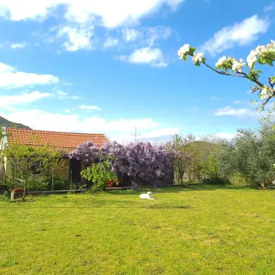 a dog laying in the grass in front of a house at Ivan's Holiday Home in Virpazar