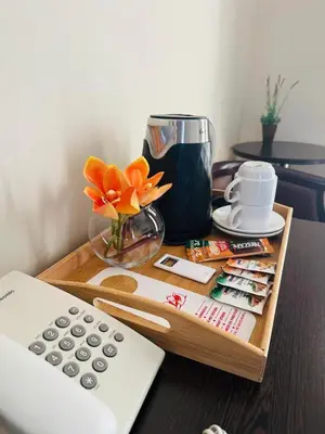 a tray with a remote control and flowers on a table at Lucic Rooms & Suites in Budva