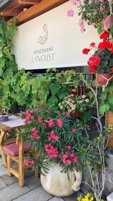 a bunch of flowers in a pot in front of a store at Apartments PROVA in Sveti Stefan