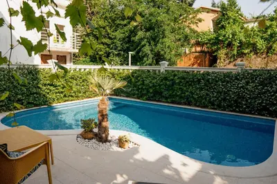 a swimming pool with a palm tree next to a fence at Apartments Captain's Villa in Budva