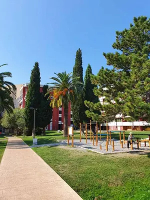 a park with a bunch of benches and trees at Apartment Oleander in Budva