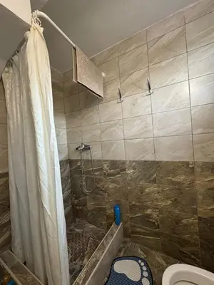 a bathroom with a shower and a toilet at Apartmani Dada in Kotor